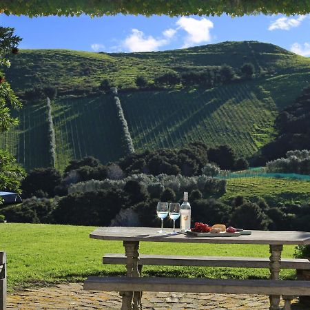 The Vineyard Cottage - Stay Waiheke Onetangi Zewnętrze zdjęcie