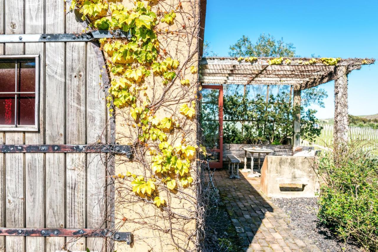 The Vineyard Cottage - Stay Waiheke Onetangi Zewnętrze zdjęcie