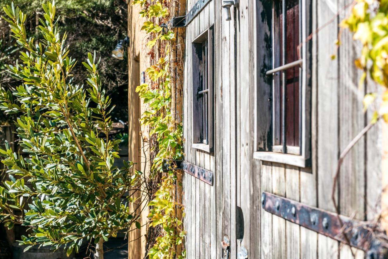 The Vineyard Cottage - Stay Waiheke Onetangi Zewnętrze zdjęcie