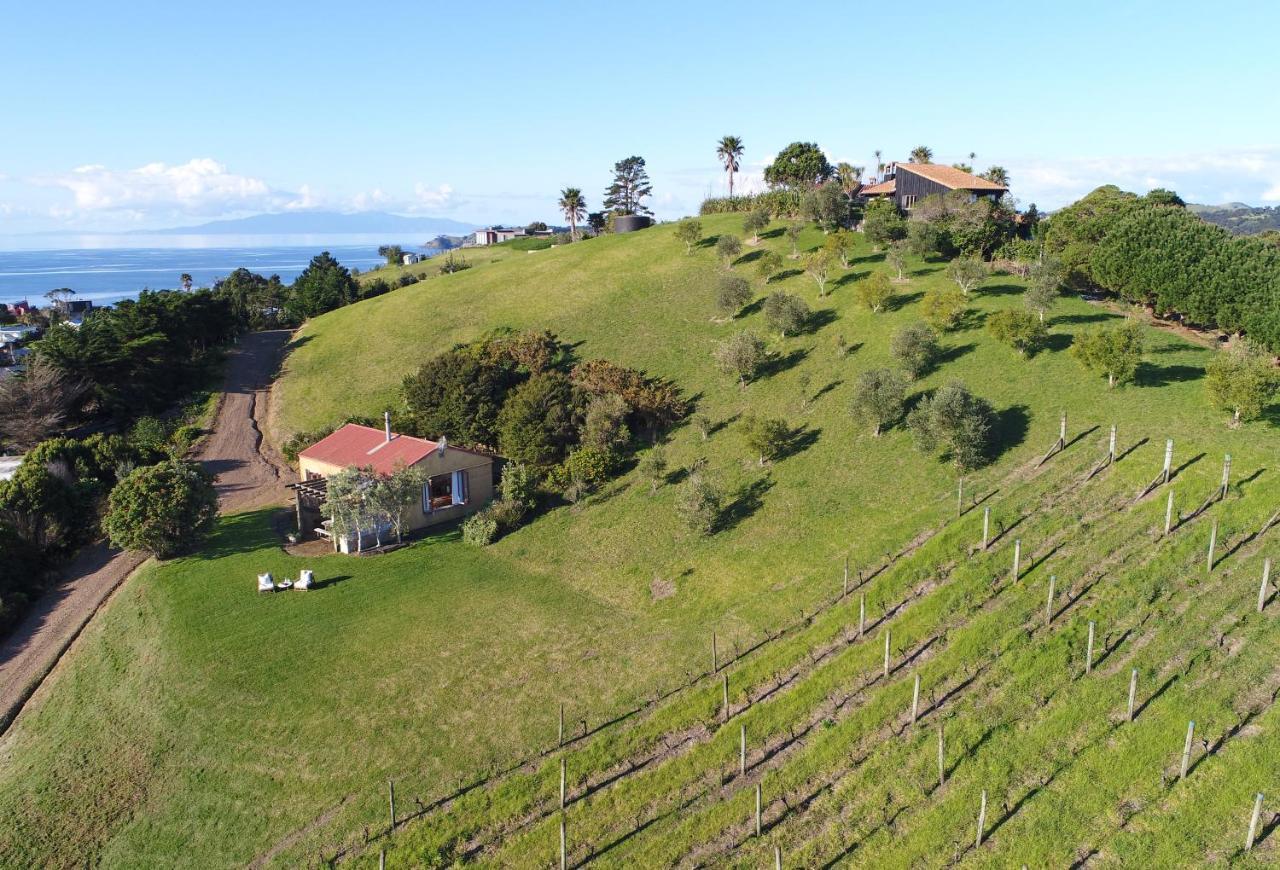 The Vineyard Cottage - Stay Waiheke Onetangi Zewnętrze zdjęcie